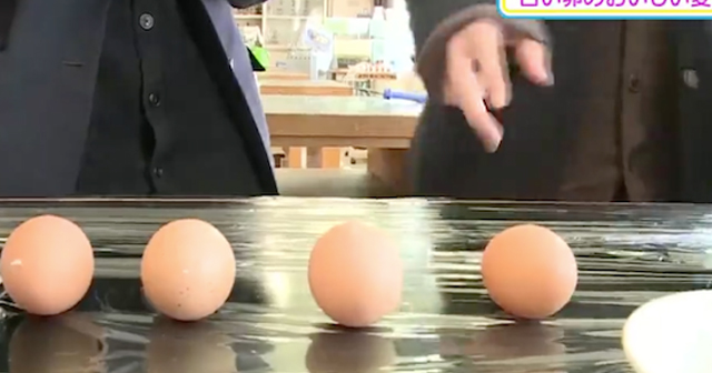 これは凄い！現役高校生が成功【世界初殻なし卵でヒナを孵す】古い卵の美味しい進化！ひよこがピヨっと生まれてくるんです。（動画あり）【世界が注目する最新の技術】