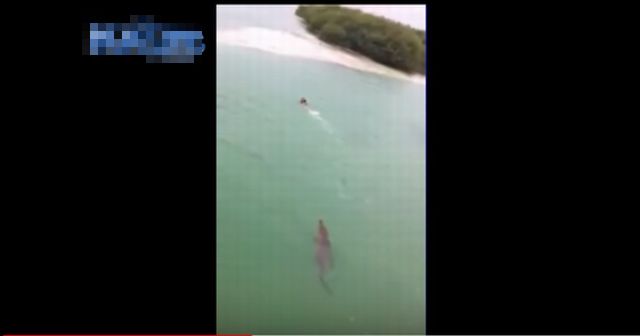 【衝撃映像】閲覧注意！！泳いでいる男性に近付く巨大ワニ！ ！