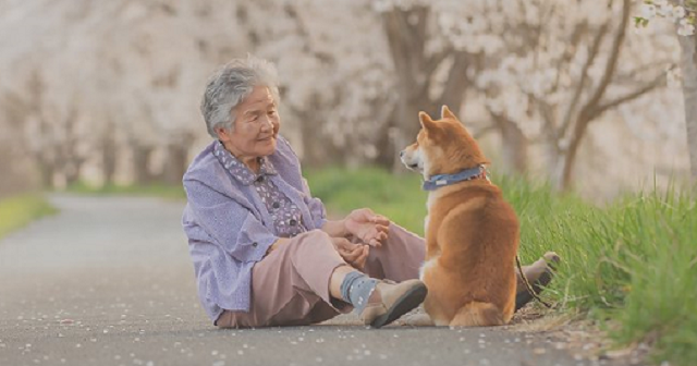 【涙が止まらない】おばあちゃんと柴犬が写った儚くも美しい愛情いっぱいの写真に１３万超のいいね！